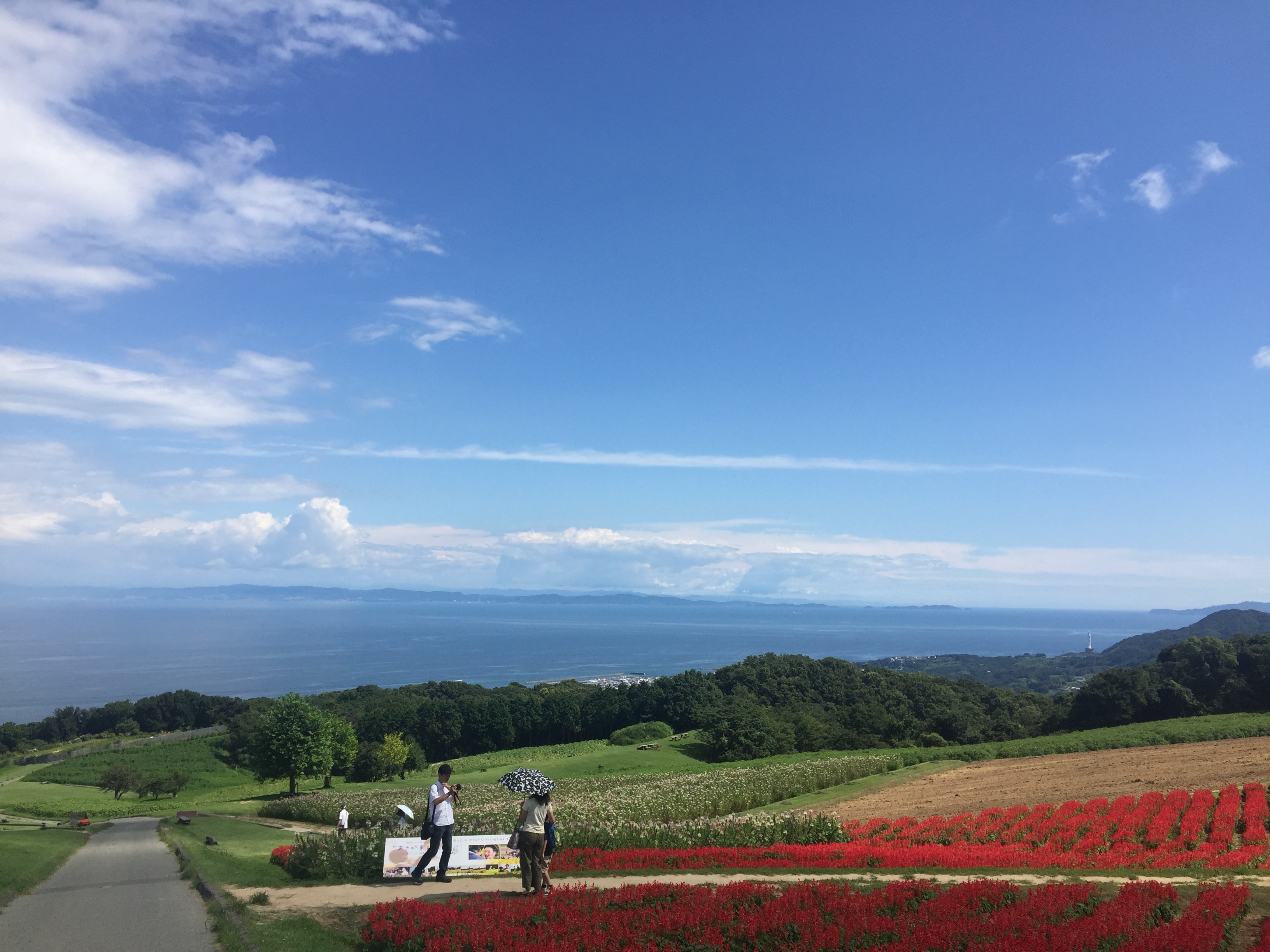 A flower garden on Awaji